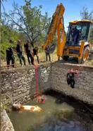 Malatya'da sulama havuzuna düşen inek, halatla çıkarılıp kurtarıldı