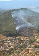Balıkesir'de orman yangını
