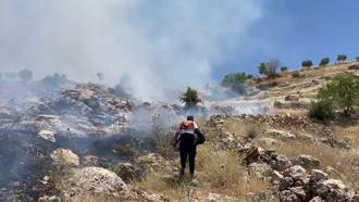 Mardin’de örtü yangını; 50 dönüm alan zarar gördü