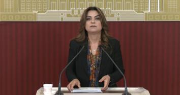 DEM Parti'li Koçyiğit: Çerçeve yasanın bir an önce TBMM'ye gelmesi gerekiyor