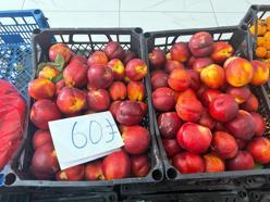 Hatay'da bahçede 15 TL'ye satılan şeftali pazarda 60 TL