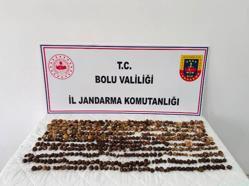Yabani salep toplayan 3 kişiye 2 milyon 97 bin TL ceza