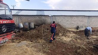 Adıyaman'da örtü ve anız yangınları; 1500 hektar alan zarar gördü