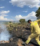 Bingöl’de çıkan örtü yangını söndürüldü