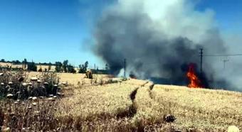 Tekirdağ'da 50 dekar ekili buğday yandı