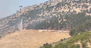 Gaziantep'te orman yangını