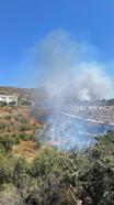Bodrum'da otluk ve makilik alanda yangın