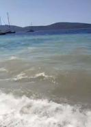 Bodrum'da deniz kirliliği; soruşturma başlatıldı