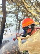 Saimbeyli'de orman yangını büyümeden söndürüldü