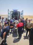 Mardin'de tarlaya devrilen hafif ticari aracın sürücüsü yaralandı