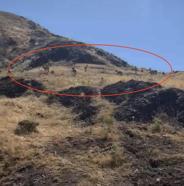 Elazığ'da sürü halinde gezen yaban keçileri görüntülendi