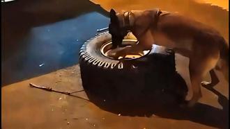 Minibüsteki yedek lastikte 9,4 kilo skunk ele geçirildi; 2 tutuklama