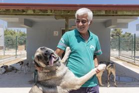 Mersin’de can dostlara güvenli liman