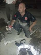 Edremit'te itfaiye betonu delerek yavru kediyi kurtardı