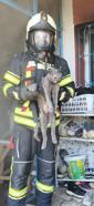 Kayseri’de yanan evde mahsur kalan 6 kedi kurtarıldı