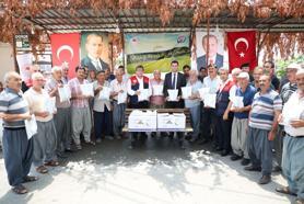 Akdeniz’de meyve sineğiyle mücadele sürüyor