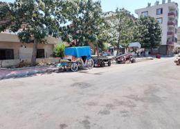Mersin’de bitkin düşen at kurtarıldı