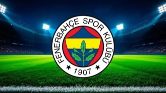 Fenerbahçe Futbol A.Ş.'nin yeni yönetim kurulu açıklandı
