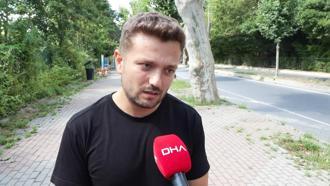 Beşiktaş'taki tarihi ağaçlara 'Çınar kanseri'ne karşı koruma çalışması: İlaçla tedavi yöntemi mümkün değil