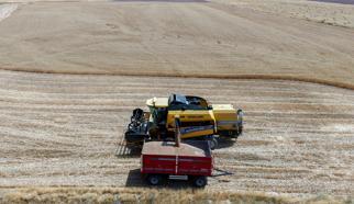 Hububatta, Cumhuriyet tarihinin en yüksek rekolte beklentisi