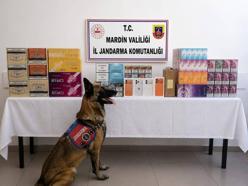 Mardin’de kaçakçılık operasyonu: 2 gözaltı