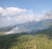 Muğla'da tarım arazisinde çıkan yangın ormana sıçradı