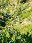 Antalya'da kamyonet, uçuruma yuvarlandı; aynı aileden 5 kişi öldü, 2 yaralı