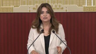 DEM Parti'li Koçyiğit: Çerçeve yasanın Meclis kapanmadan çıkacağına dair bilgiyi teyit edebilirim