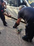 Park halindeki minibüsün motor kısmına giren yılanı itfaiyeciler çıkarıldı