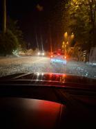 Sakarya'da milyonlarca kelebeğin ölüm dansı
