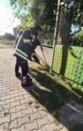 Evin avlusuna giren yılan itfaiye ekipleri tarafından yakalandı