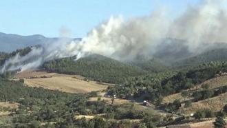 Çanakkale'de, Bayramiç’te de orman yangını çıktı
