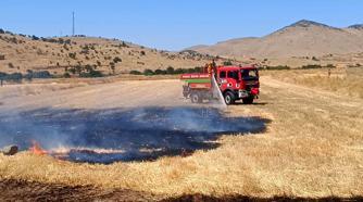 Yangında 200 dekar kül oldu