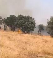 Lice kırsalında örtü yangını