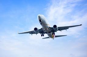 2025 yılında pilotlar tarafından en çok kuş çarpma olayları rapor edildi