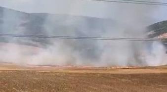 Bursa'da tarlayı ateşe verdiği öne sürülen şüpheli yakalandı