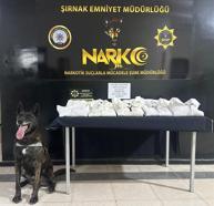 Şırnak’ta kaçakçılık ve uyuşturucu operasyonları: 1 tutuklama