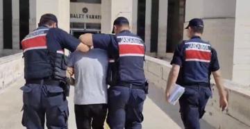 Edremit’teki orman yangına ilişkin 1 tutuklama