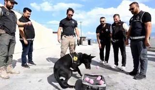 Emekli olan narkotik köpeği Naz'a duygulandıran veda