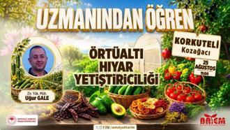 'Uzmanından Öğren' eğitimleri Korkuteli’nde üreticilerle buluştu