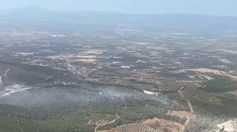 Manisa'da orman yangını