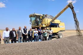 Aksaray’da çerezlik ayçiçeği hasadı başladı