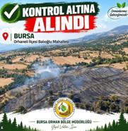 Bursa’da orman yangını- Yeniden