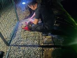 Gölete düşen yavru köpeği dalgıç polisler kurtardı