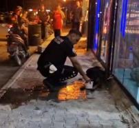 Silahla vurularak yaralanan sokak köpeğine polis ekipleri sahip çıktı