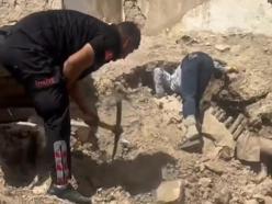Nusaybin’de metruk ev çöktü; 5 yavru köpek ve anneleri kurtarıldı