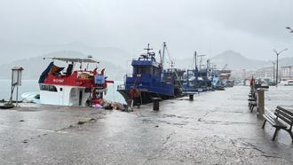 Bartın'da kuvvetli rüzgar; ağaçlar devrildi (2)