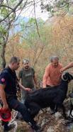 Kayalıklarda mahsur kalan keçi kurtarıldı