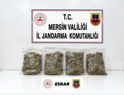 Mersin’de 2 kilo 100 gram esrar ele geçirildi