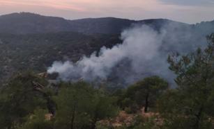 Gaziantep’te orman yangını; 4 dönüm alan zarar gördü